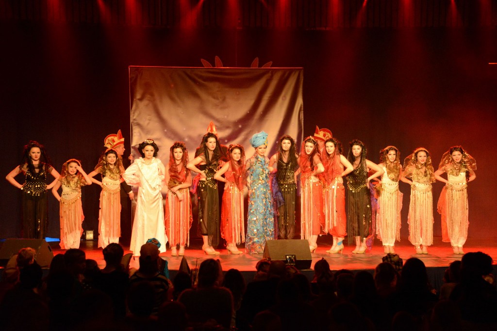 ../Images/Dansmarieke festival 2015 474.jpg